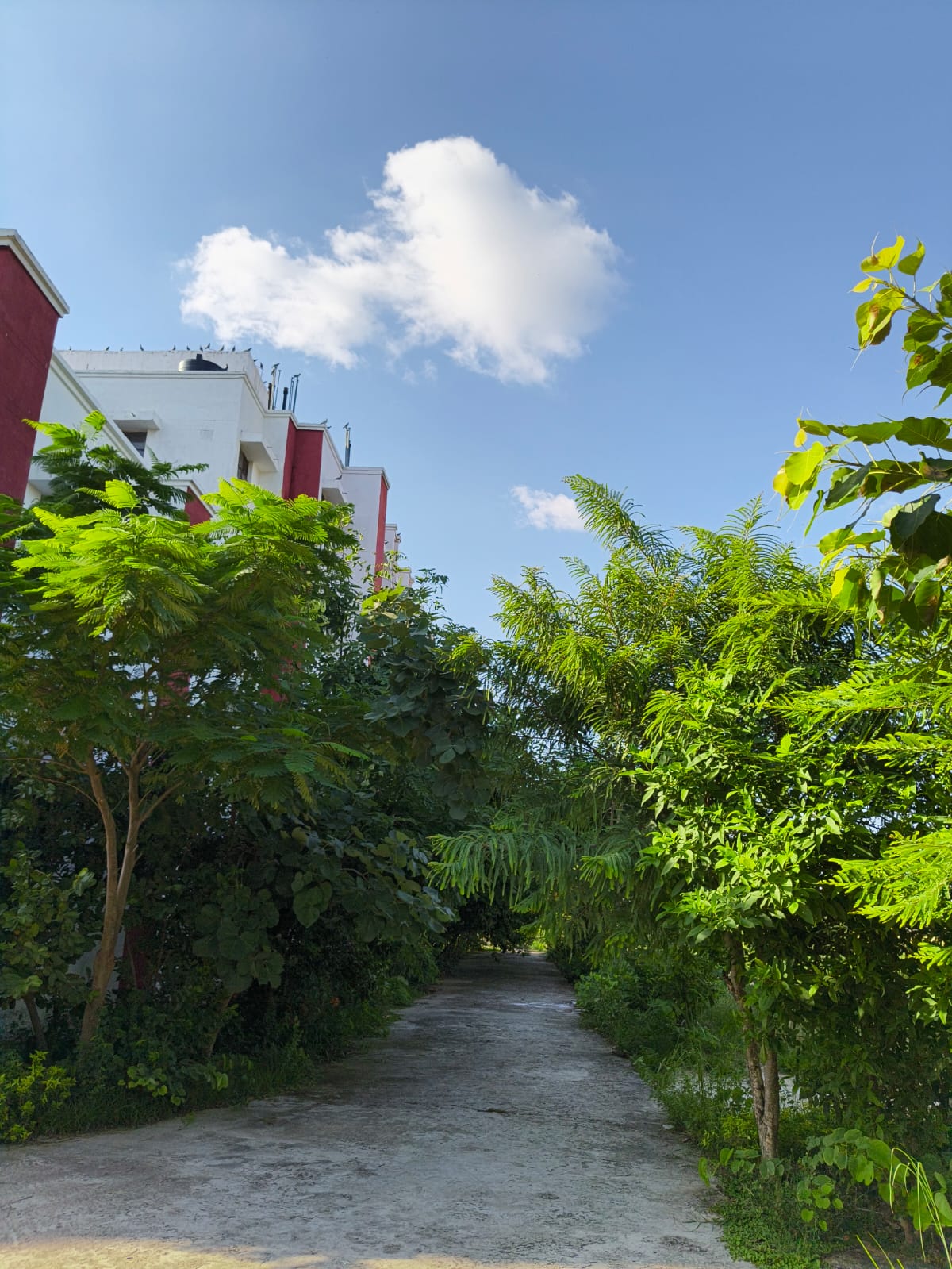Republic Day Flag Hoisting Ceremony